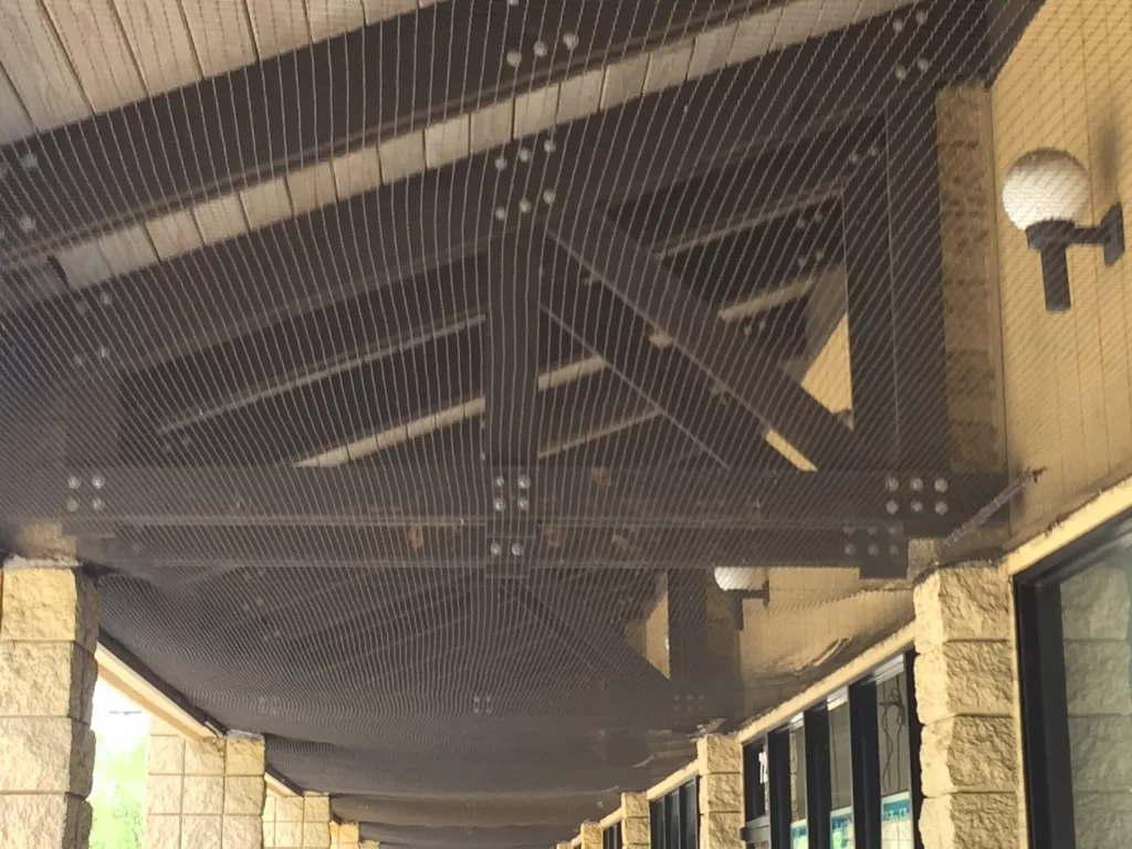 bird-netting-georgia-shopping-center | Perimeter Wildlife Control commerical bird control netting atlanta