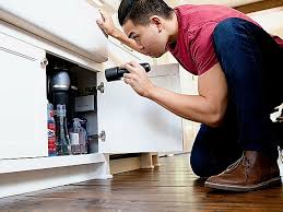 pest inspections atlanta ga