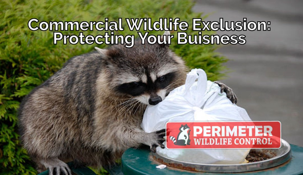 commercial wildlife exclusion | Perimeter Wildlife Control commercial wildlife exclusion service atlanta ga