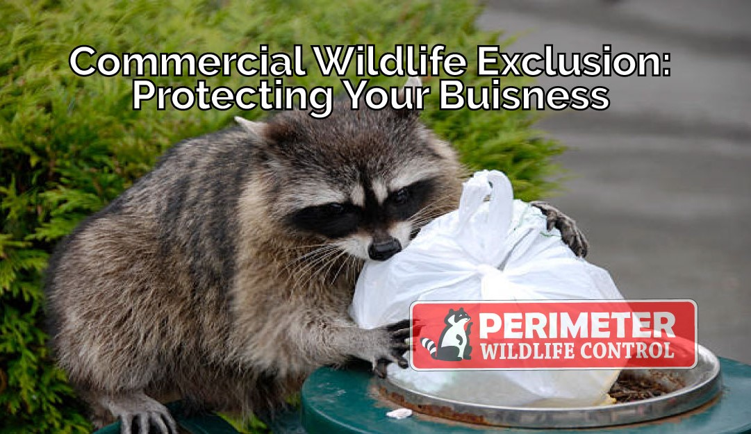 Commercial Wildlife Exclusion: Protecting Your Business